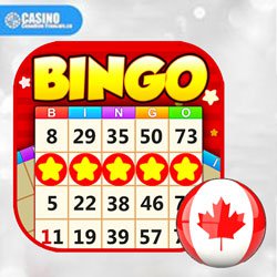 Bingo Gratuit Au Canada